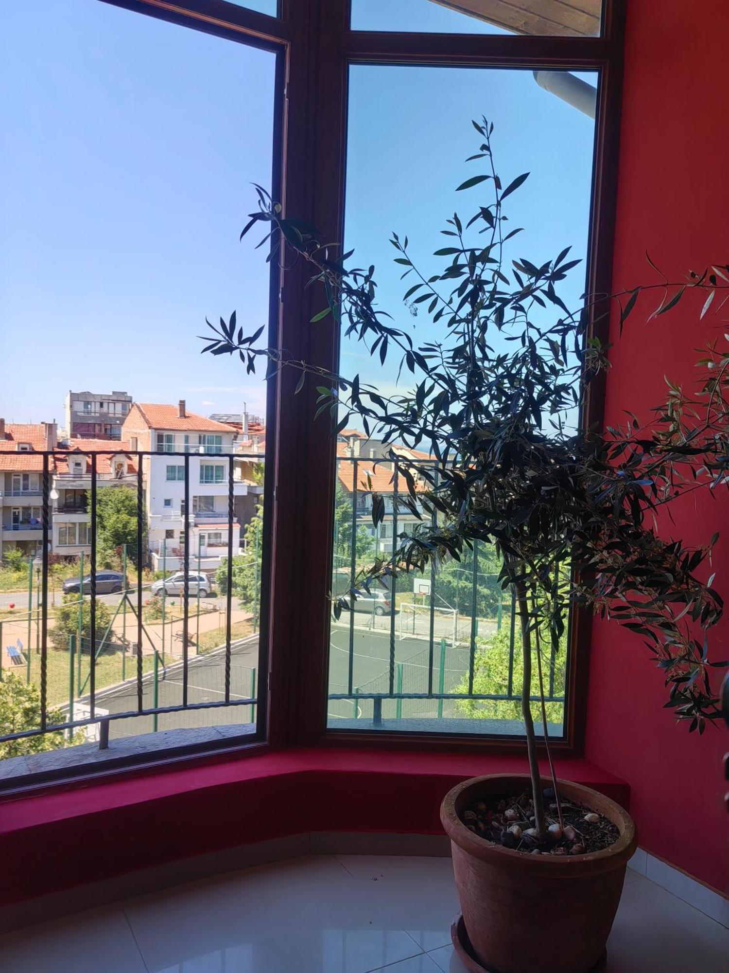 Moreno Sozopol Esterno foto